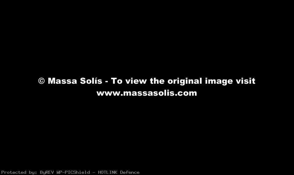Serie Reinterpretación de los Impresionistas de Massa Solís